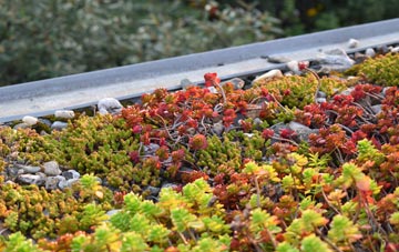 the cost of Elford Closes green roof installation