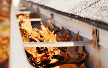 Elford Closes gutter cleaning companies