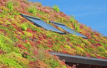 Elford Closes living roof systems