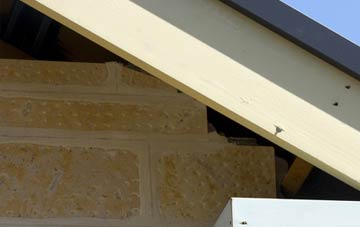 soffit repair Elford Closes