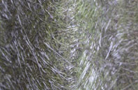 Elford Closes fibreglass roof work